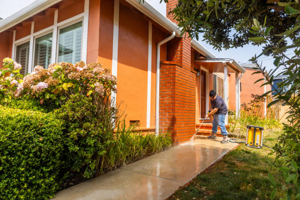 Best Roof Power Washing Services  in Newberry, MI
