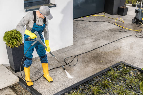 Best Pressure Washing Company Near Me  in Newberry, MI