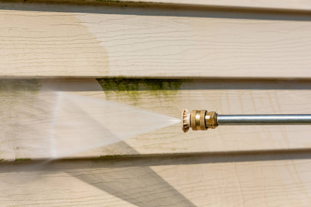 Best Residential Pressure Washing Services  in Newberry, MI