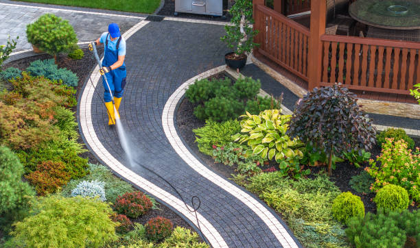 Best House Pressure Washing  in Newberry, MI